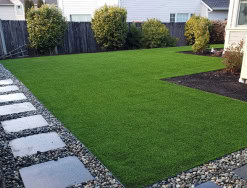 Truworx Sports Services and Options Backyard Turf